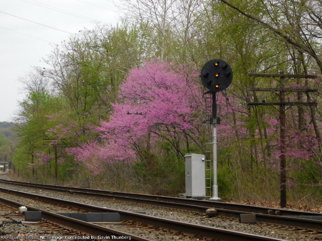 Spring has sprung at Industry PA